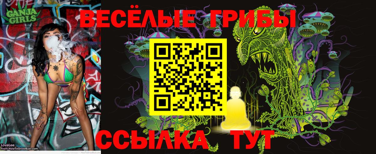 Галлюциногенные грибы GOLDEN TEACHER Гулькевичи