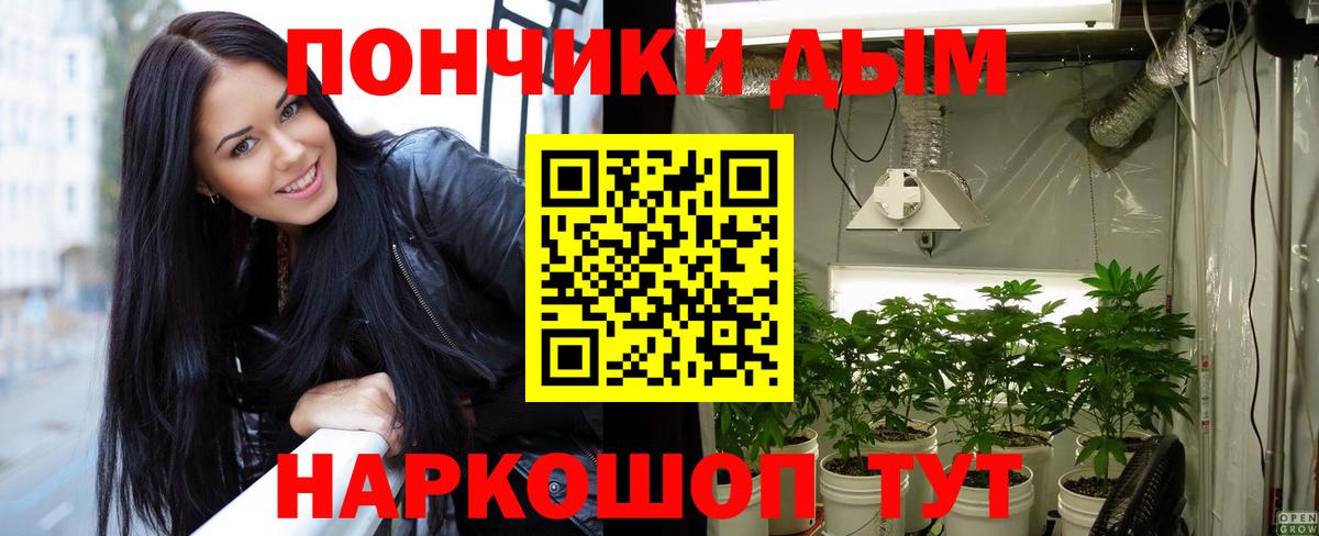 Шишки марихуана марихуана Гулькевичи